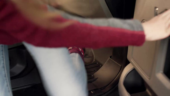 WeatherTech "Truck Sign"